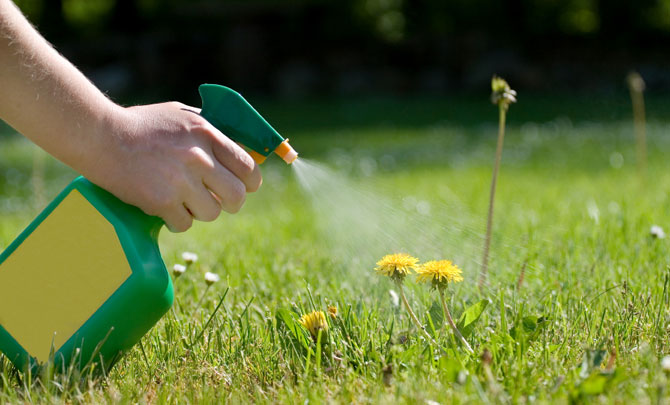 Weed Control